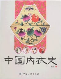 书籍 中国内衣史的封面